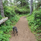 Illustration for article titled Oregon photodump (plenty o Toby)